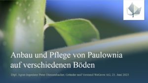 1. Vortrag:
Anbau und Pflege von Paulownia auf verschiedenen Böden, Diessenbacher Peter