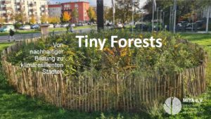5. Vortrag:
Tiny Forest_Überblick, Scharfe Stefan